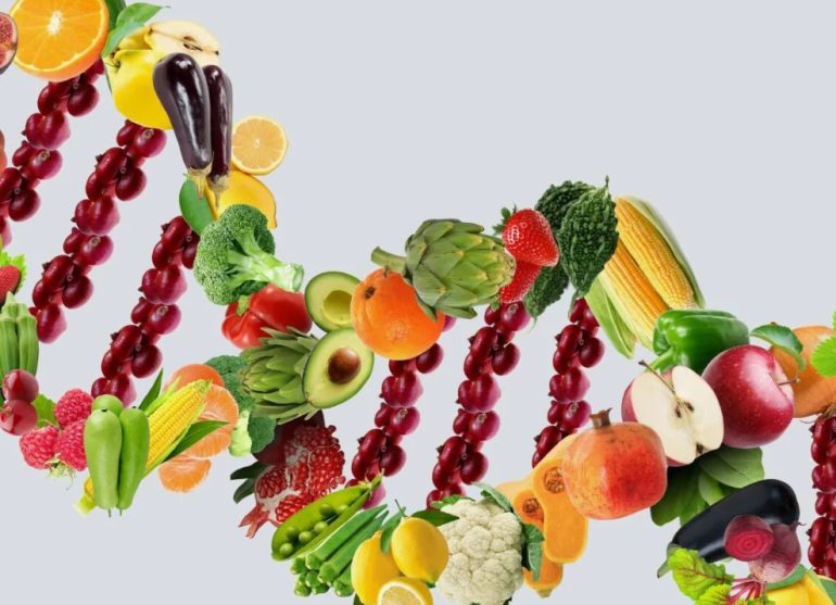 Персонализированное спортивное питание: протеин, БАД и рационы под анализ крови и генетику