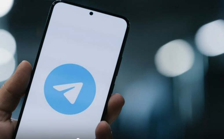 Прогнозы на спорт в Telegram: как не попасться на удочку псевдокапперов